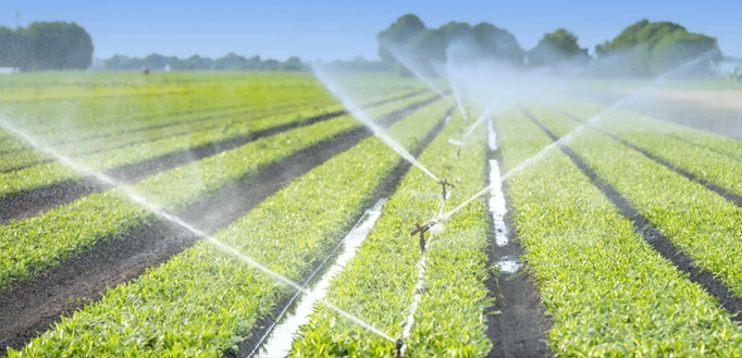 Taizhou Jun'an Fuoco Technology Co., Ltd.