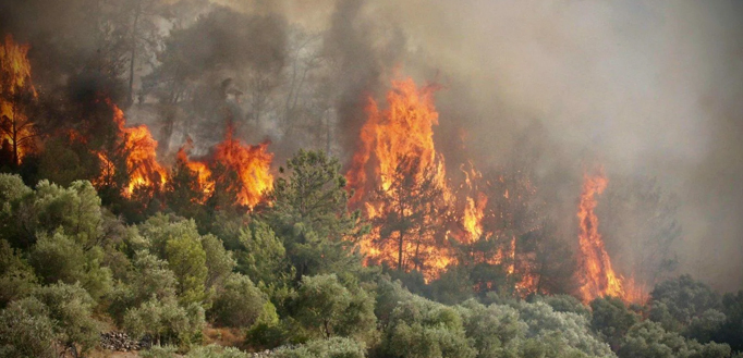 Taizhou Jun'an Fuoco Technology Co., Ltd.